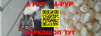 твердый Кингисепп
