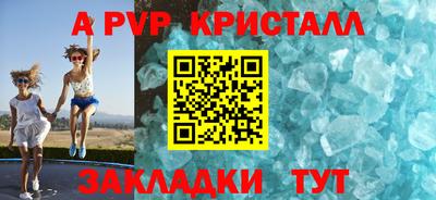 твердый Кингисепп